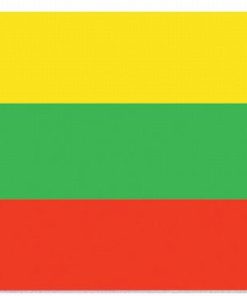 Lithuania 4"x6" Stick Flag