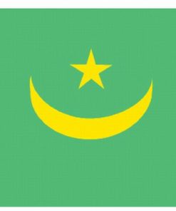Mauritania 4"x6" Stick Flag