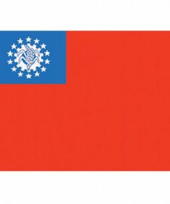 Myanmar 4"x6" Stick Flag