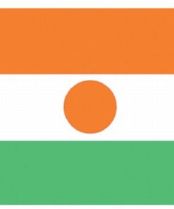 Niger 4"x6" Stick Flag
