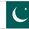 Pakistan 4"x6" Stick Flag