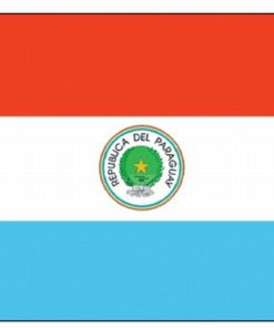 Paraguay 4"x6" Stick Flag