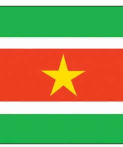 Suriname 4"x6" Stick Flag
