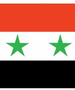 Syria 4"x6" Stick Flag