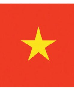 Vietnam 4"x6" Stick Flag