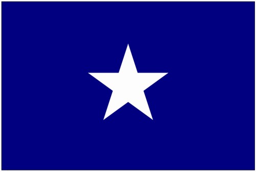 3'x5' Printed Nyl. Bonnie Blue Flag