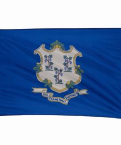 Connecticut 3'x5' Nylon Flag