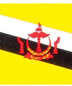 Brunei 6'x10' Nylon Flag
