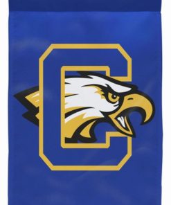 Custom printed 12"x18" Nylon Flags