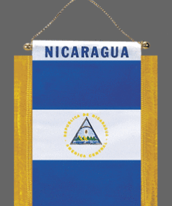 Nicaragua Mini Banner