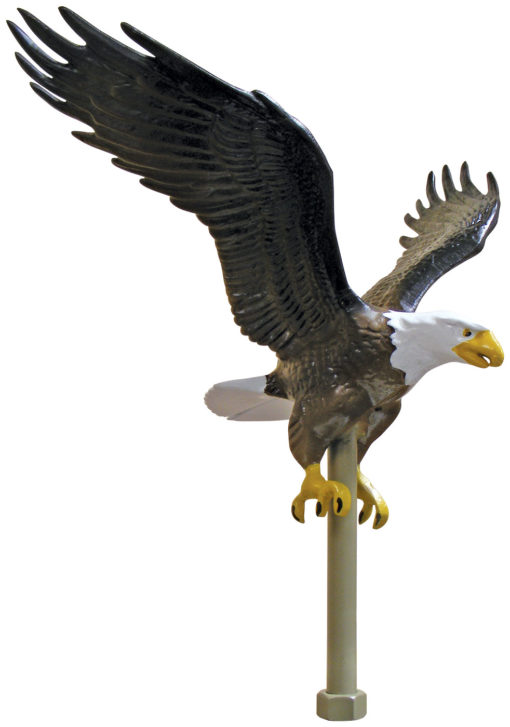 Aluminum Flying Eagle 11"Natural Top