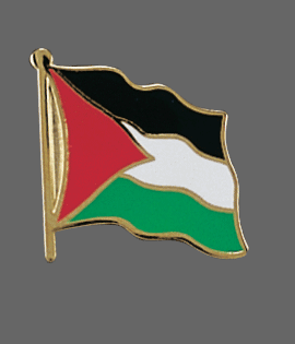 Palestine world flag lapel pin, country flag pins