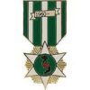 RVN Vietnam Campaign mini miniature Service Award medal Pin