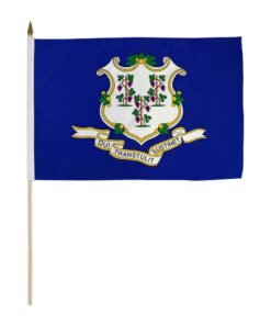 12x18in State Of Connecticut Stick Flag