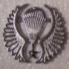 Chilean Jump Wings Military Pin
