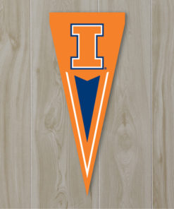 Illinois Yard Pennant 34"x14"
