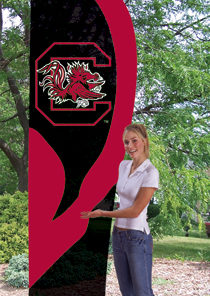 South Carolina Tall Flag