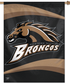 Western Michigan Banner