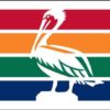 10x15-nyl-city-of-st-petersburg-flag