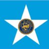 City of Houston 8'x12' 2-Ply Flag