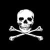 Pirate 2"X3" Poly Flag