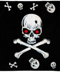 Skull and Bones Red Eyes Pirate Flag 3x5ft Poly