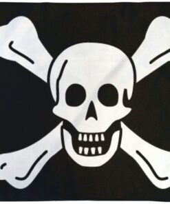 Richard Worley Pirate Flag 3x5ft Poly