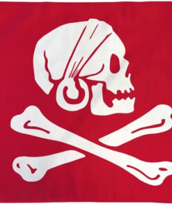 Henry Avery Red Pirate Flag 3x5ft Poly