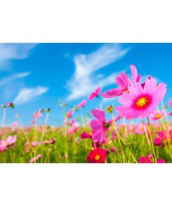 Our festive & colorful collection of Spring Flowers 3'x5' screen-printed nylon flag speaks for itself