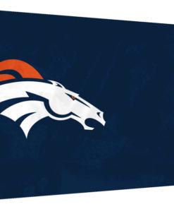 Broncos Boat Flag
