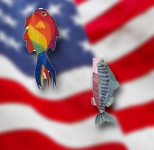 Fish Windsocks