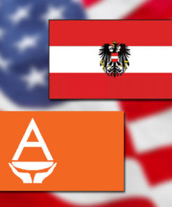 Polyester 12 x 18 in Stick Flags