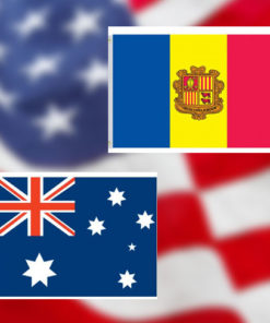 4x6in International Stick Flags
