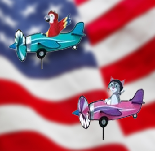 airplane and pilot pal