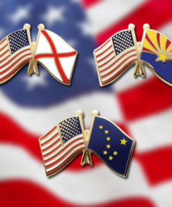 US State Flag Friendship Lapel Pins