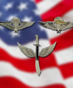 Vietnam Pins and Emblems