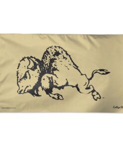 CU Buffaloes Vintage Collegiate Vault Flag