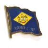 Delaware State Lapel Pin, Delaware Flag Lapel Pin, Delaware Lapel Pin, Delaware Flag Pin