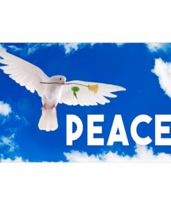 Our festive & colorful collection of Peace Dove 3'X5' screen-printed nylon flag speaks for itself