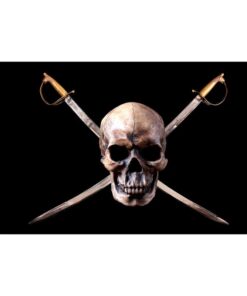 Our festive & colorful collection of Pirate Sword 3'X5' screen-printed nylon flag speaks for itself
