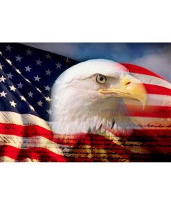 Our festive & colorful collection of Proud Eagle 3'X5' screen-printed nylon flag speaks for itself