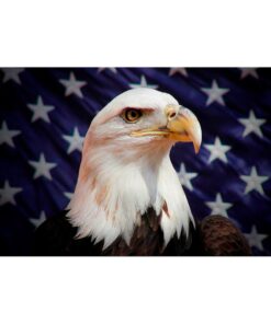 Our festive & colorful collection of American Starfield Eagle 3'X5' screen-printed nylon flag speaks for itself