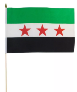 Syrian Republic 12"x18" Stick Flag