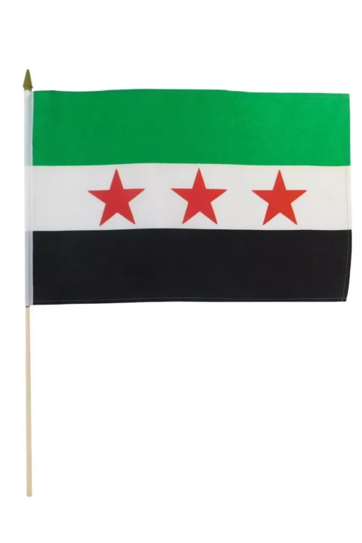 Syrian Republic 12"x18" Stick Flag