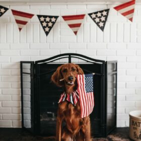 Patriotic July 4th home display with American stick flag and flag bunting — July 4th flags available at Flag World Company in Aurora Colorado